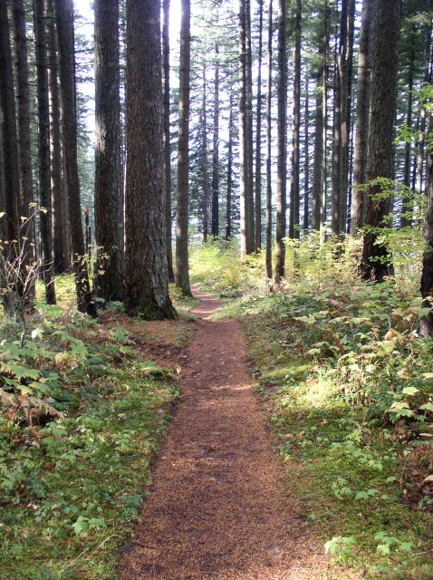 10.28.05 Devil's Rest 126 